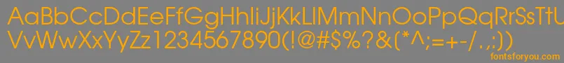 TexgyreadventorRegular Font – Orange Fonts on Gray Background