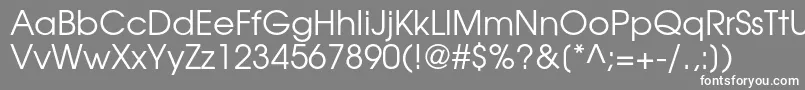 フォントTexgyreadventorRegular – 灰色の背景に白い文字