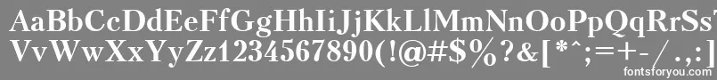 UkrainiankudriashovBold Font – White Fonts on Gray Background