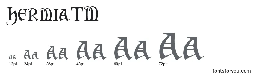 Размеры шрифта HermiaTM