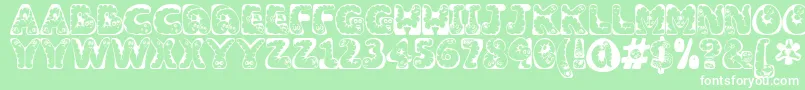 Wiggles1 Font – White Fonts on Green Background