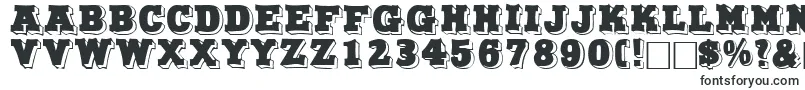NorthfacedisplaycapssskRegular Font – Wide Fonts