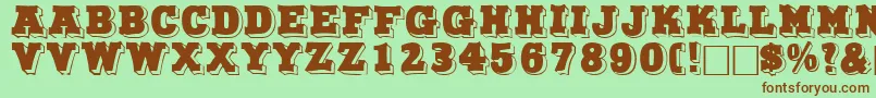 NorthfacedisplaycapssskRegular Font – Brown Fonts on Green Background