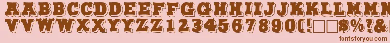 NorthfacedisplaycapssskRegular Font – Brown Fonts on Pink Background