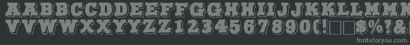 NorthfacedisplaycapssskRegular Font – Gray Fonts on Black Background