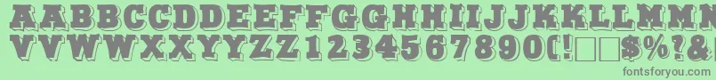 NorthfacedisplaycapssskRegular Font – Gray Fonts on Green Background