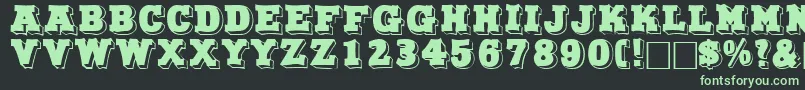 NorthfacedisplaycapssskRegular Font – Green Fonts on Black Background