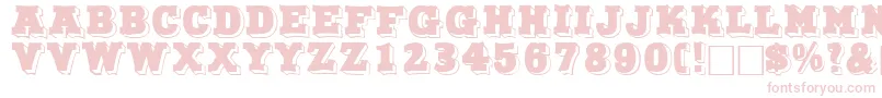 NorthfacedisplaycapssskRegular Font – Pink Fonts on White Background