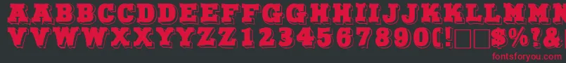 NorthfacedisplaycapssskRegular Font – Red Fonts on Black Background