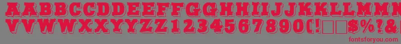 NorthfacedisplaycapssskRegular Font – Red Fonts on Gray Background