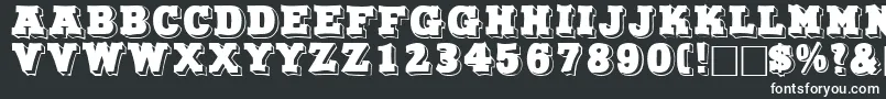 NorthfacedisplaycapssskRegular Font – White Fonts