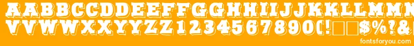 NorthfacedisplaycapssskRegular Font – White Fonts on Orange Background