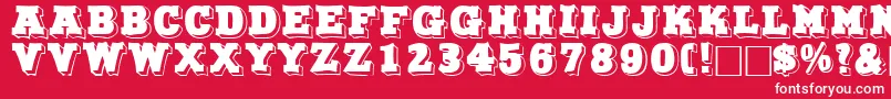 NorthfacedisplaycapssskRegular Font – White Fonts on Red Background