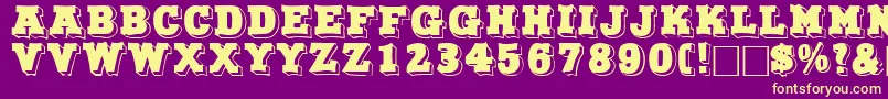 NorthfacedisplaycapssskRegular Font – Yellow Fonts on Purple Background