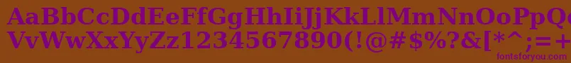 BitstreamVeraSerifBold Font – Purple Fonts on Brown Background