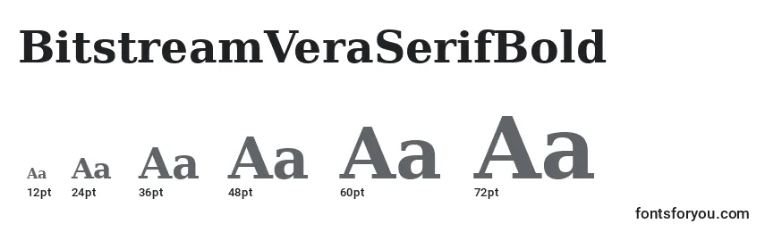 BitstreamVeraSerifBold Font Sizes
