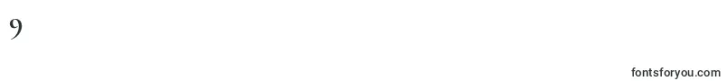 フォントCormorantBold – フォント数字9