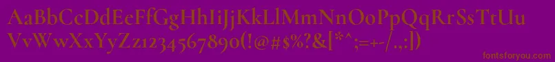 CormorantBold Font – Brown Fonts on Purple Background