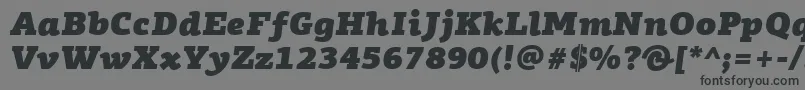 フォントPfagoraslabproUltrablackitalic – 黒い文字の灰色の背景