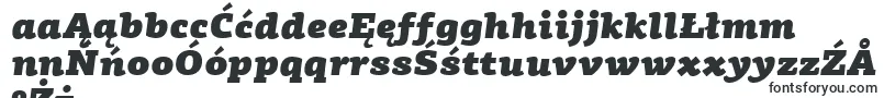 PfagoraslabproUltrablackitalicフォントについての詳細 フォントPfagoraslabproUltrablackitalic – ポーランドのフォント