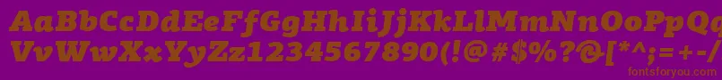 PfagoraslabproUltrablackitalic Font – Brown Fonts on Purple Background