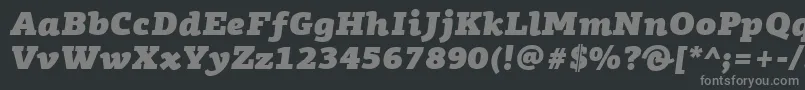 Lisätietoja PfagoraslabproUltrablackitalic-fontista PfagoraslabproUltrablackitalic-fontti – harmaat kirjasimet mustalla taustalla