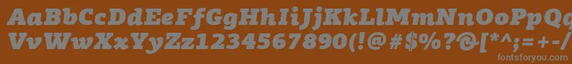 PfagoraslabproUltrablackitalic Font – Gray Fonts on Brown Background