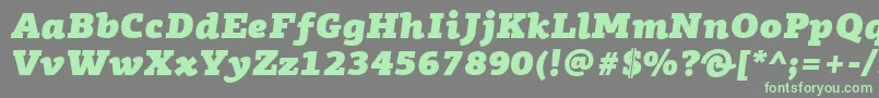 Weitere Informationen zur PfagoraslabproUltrablackitalic-Schriftart PfagoraslabproUltrablackitalic-Schriftart – Grüne Schriften auf grauem Hintergrund