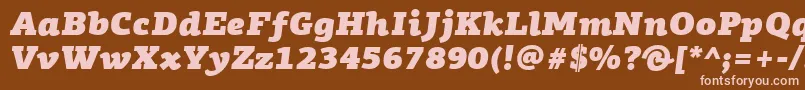 PfagoraslabproUltrablackitalicフォントについての詳細 フォントPfagoraslabproUltrablackitalic – 茶色の背景にピンクのフォント