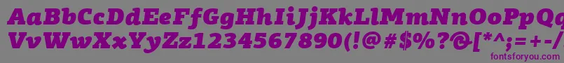 PfagoraslabproUltrablackitalic-Schriftart – Violette Schriften auf grauem Hintergrund