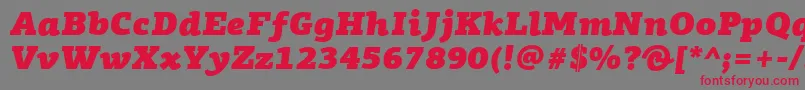 PfagoraslabproUltrablackitalicフォントについての詳細 フォントPfagoraslabproUltrablackitalic – 赤い文字の灰色の背景