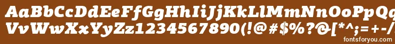 Lisätietoja PfagoraslabproUltrablackitalic-fontista PfagoraslabproUltrablackitalic-fontti – valkoiset fontit ruskealla taustalla