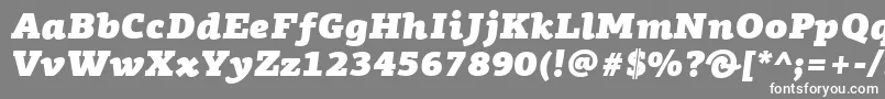 PfagoraslabproUltrablackitalic Font – White Fonts on Gray Background