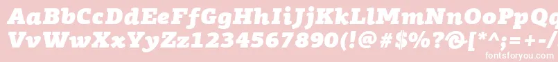 フォントPfagoraslabproUltrablackitalic – ピンクの背景に白い文字