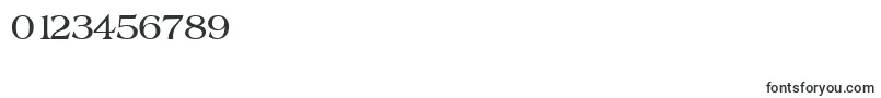 BroadsheetLdoBold Font – Fonts for Numbers and Digits