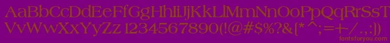 BroadsheetLdoBold Font – Brown Fonts on Purple Background