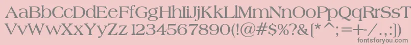 BroadsheetLdoBold Font – Gray Fonts on Pink Background