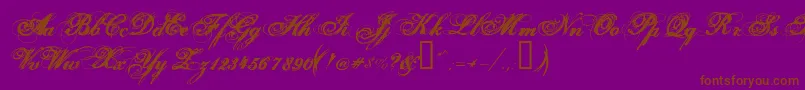 Hurricanesds Font – Brown Fonts on Purple Background