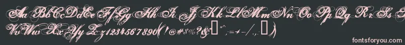 Hurricanesds Font – Pink Fonts on Black Background
