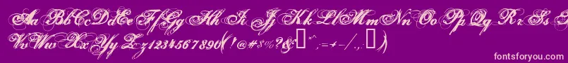 Hurricanesds Font – Pink Fonts on Purple Background