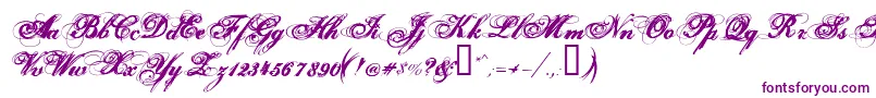 Hurricanesds Font – Purple Fonts on White Background