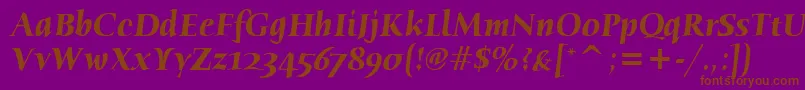 Шрифт HumanaSerifItcTtBolditalic – коричневые шрифты на фиолетовом фоне