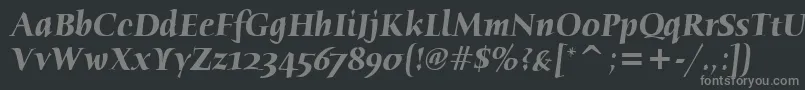 HumanaSerifItcTtBolditalic Font – Gray Fonts on Black Background