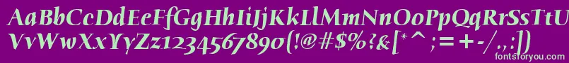 HumanaSerifItcTtBolditalic-fontti – vihreät fontit violetilla taustalla