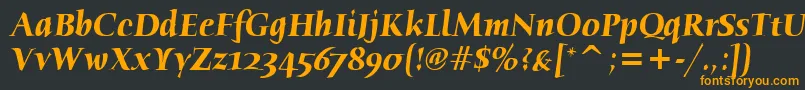 HumanaSerifItcTtBolditalic Font – Orange Fonts on Black Background