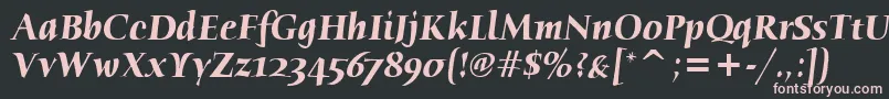 HumanaSerifItcTtBolditalic Font – Pink Fonts on Black Background