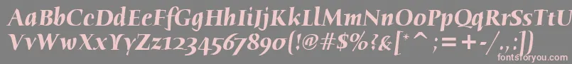 HumanaSerifItcTtBolditalic Font – Pink Fonts on Gray Background