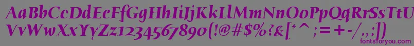 Шрифт HumanaSerifItcTtBolditalic – фиолетовые шрифты на сером фоне