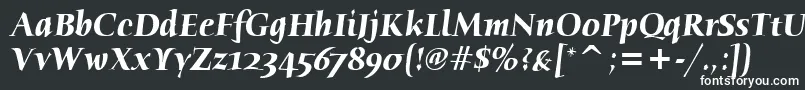 HumanaSerifItcTtBolditalic-fontti – valkoiset fontit mustalla taustalla