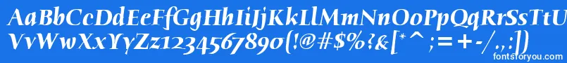 HumanaSerifItcTtBolditalic Font – White Fonts on Blue Background